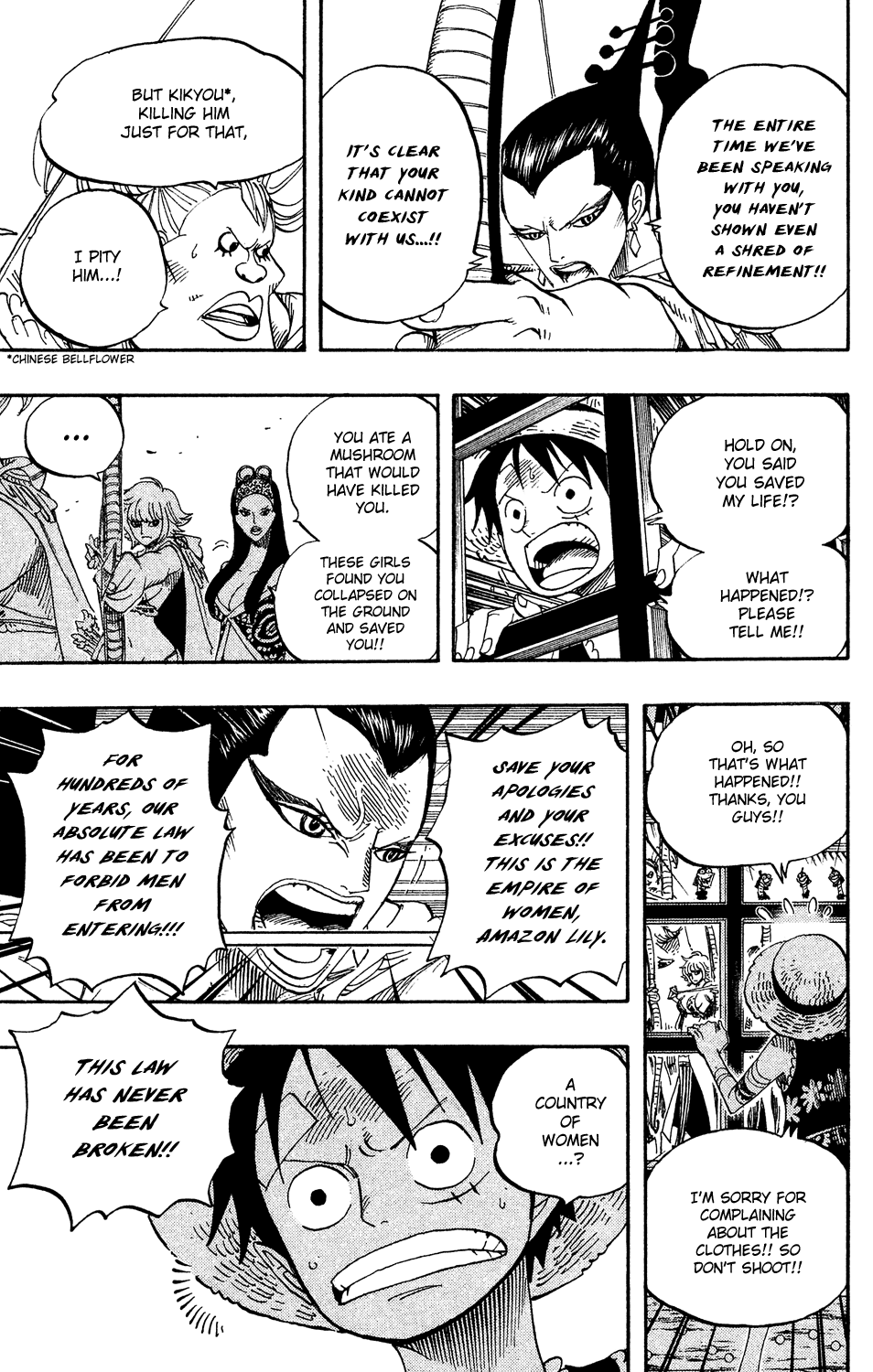 One Piece, Chapter 515 image 10
